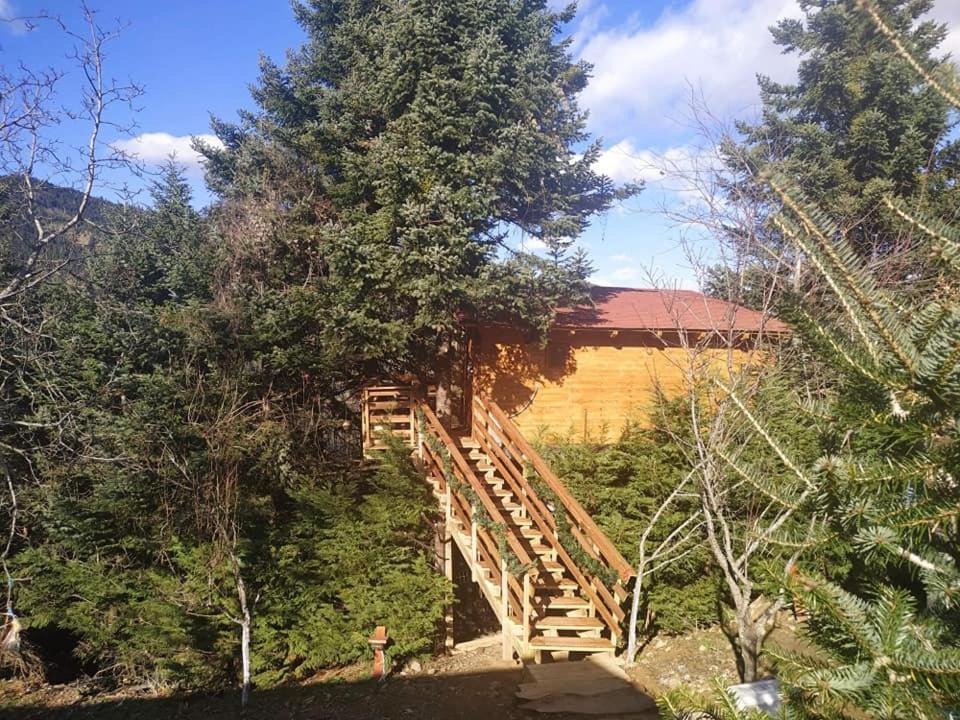 Kedra Village Bagian luar foto